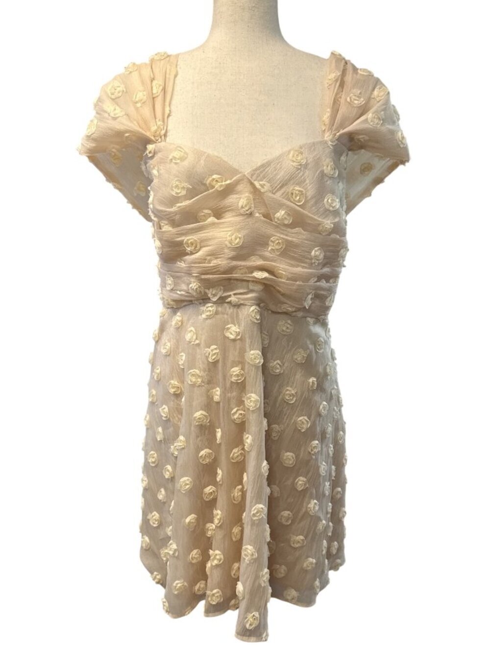 LAYERED WITH LOVE Womens Rose Chiffon Mini Dress~Size 2X~Champagne NWT L16 30